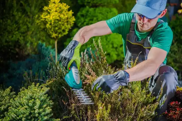 landscaping services Coffeeville